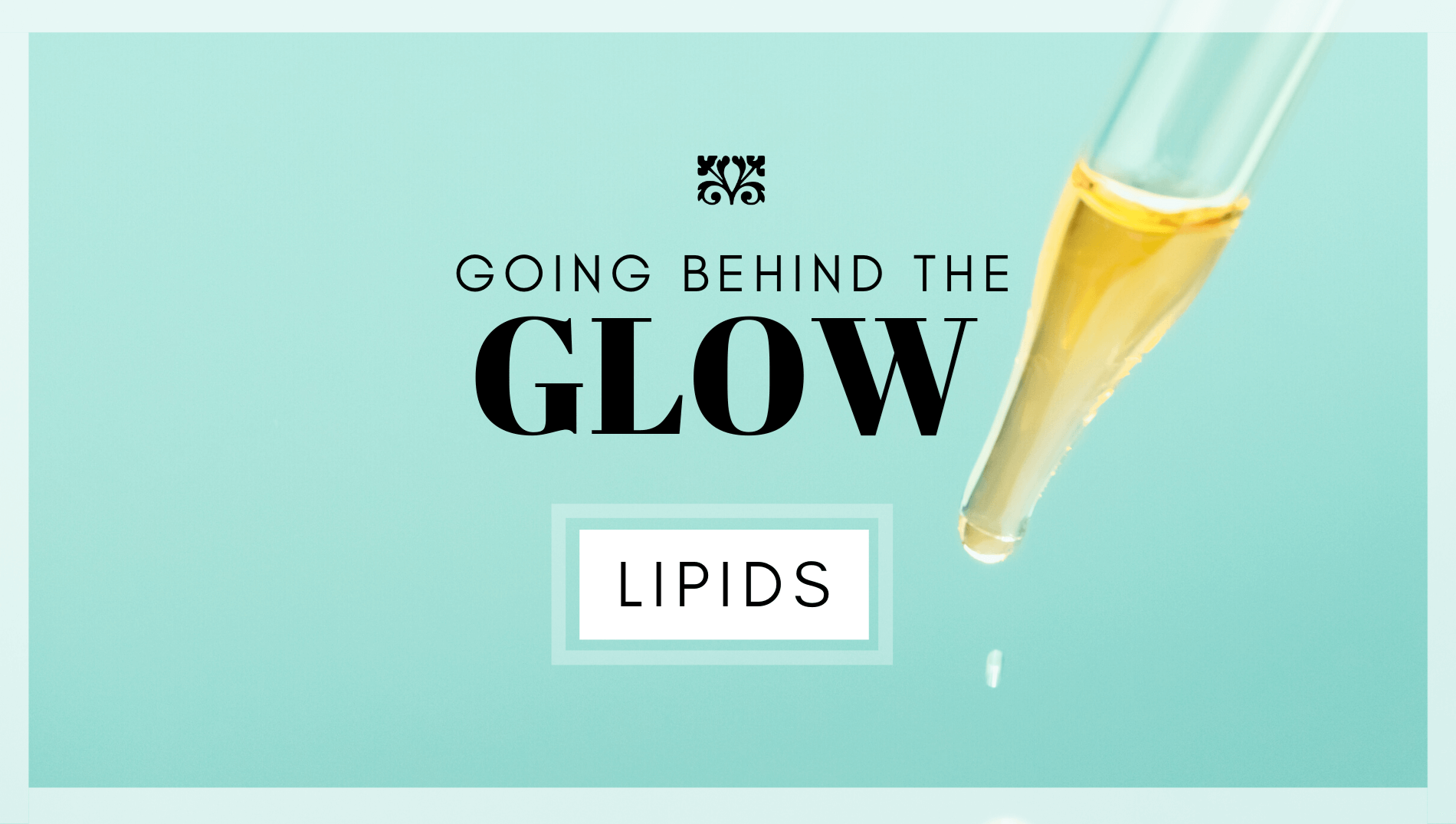 Going Behind the Glow: Skincare Ingredients that contribute to radiant skin